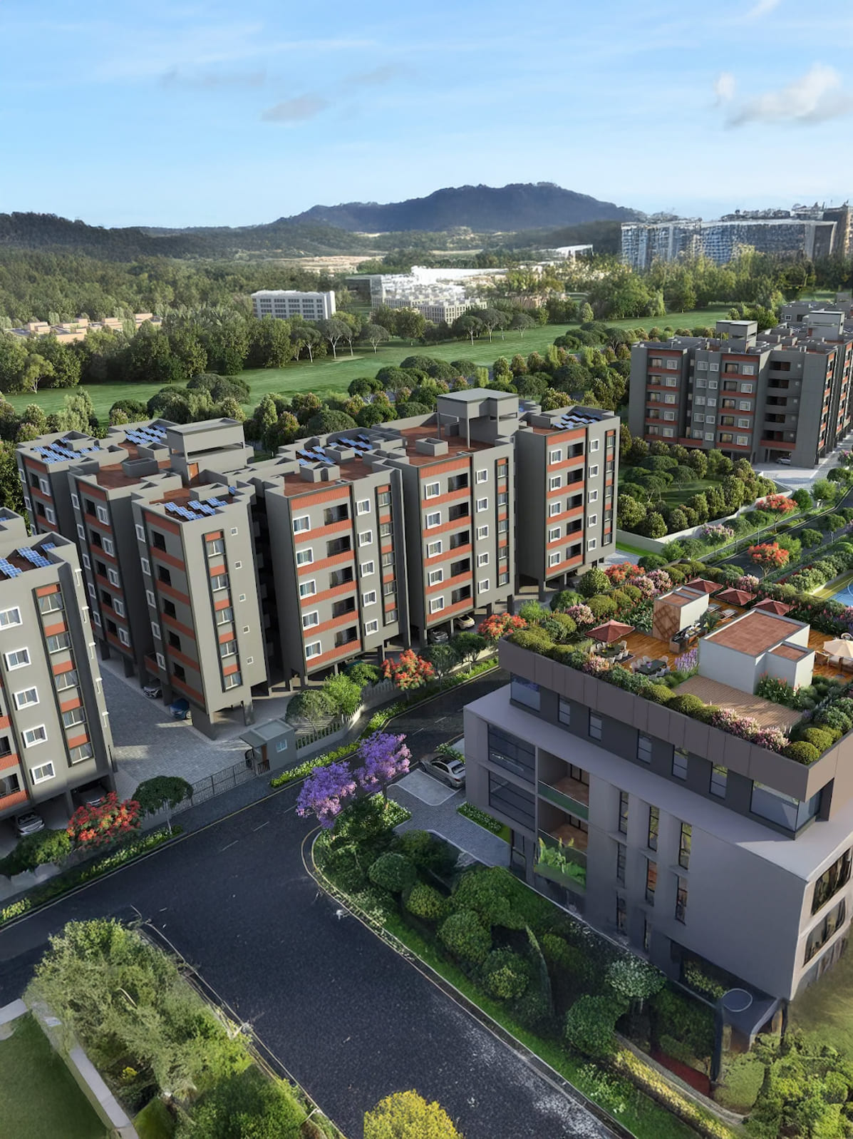 Overview Images